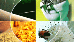 Comunicat Presa Medicina Neconventionala